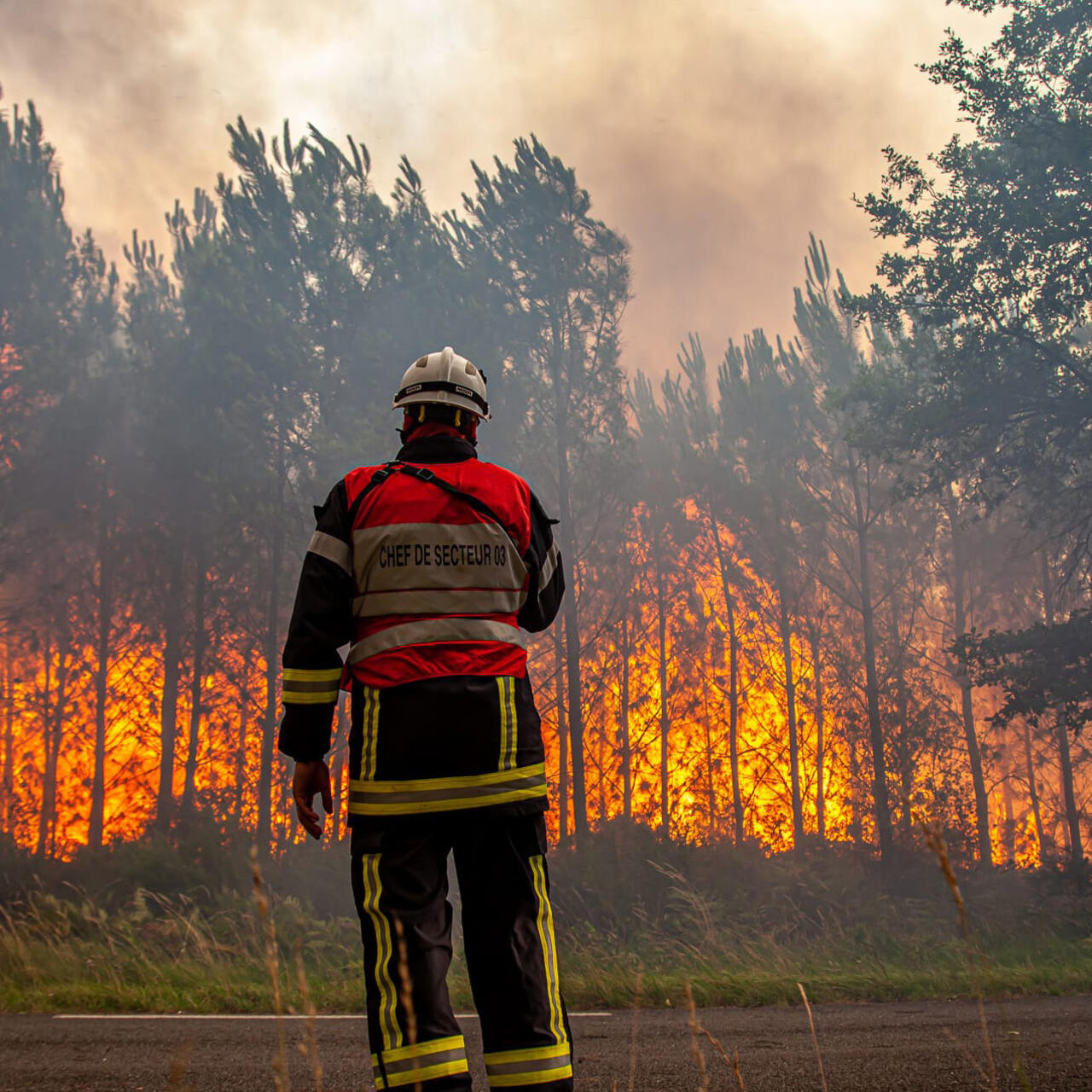 European wildfires rise 75% YOY
